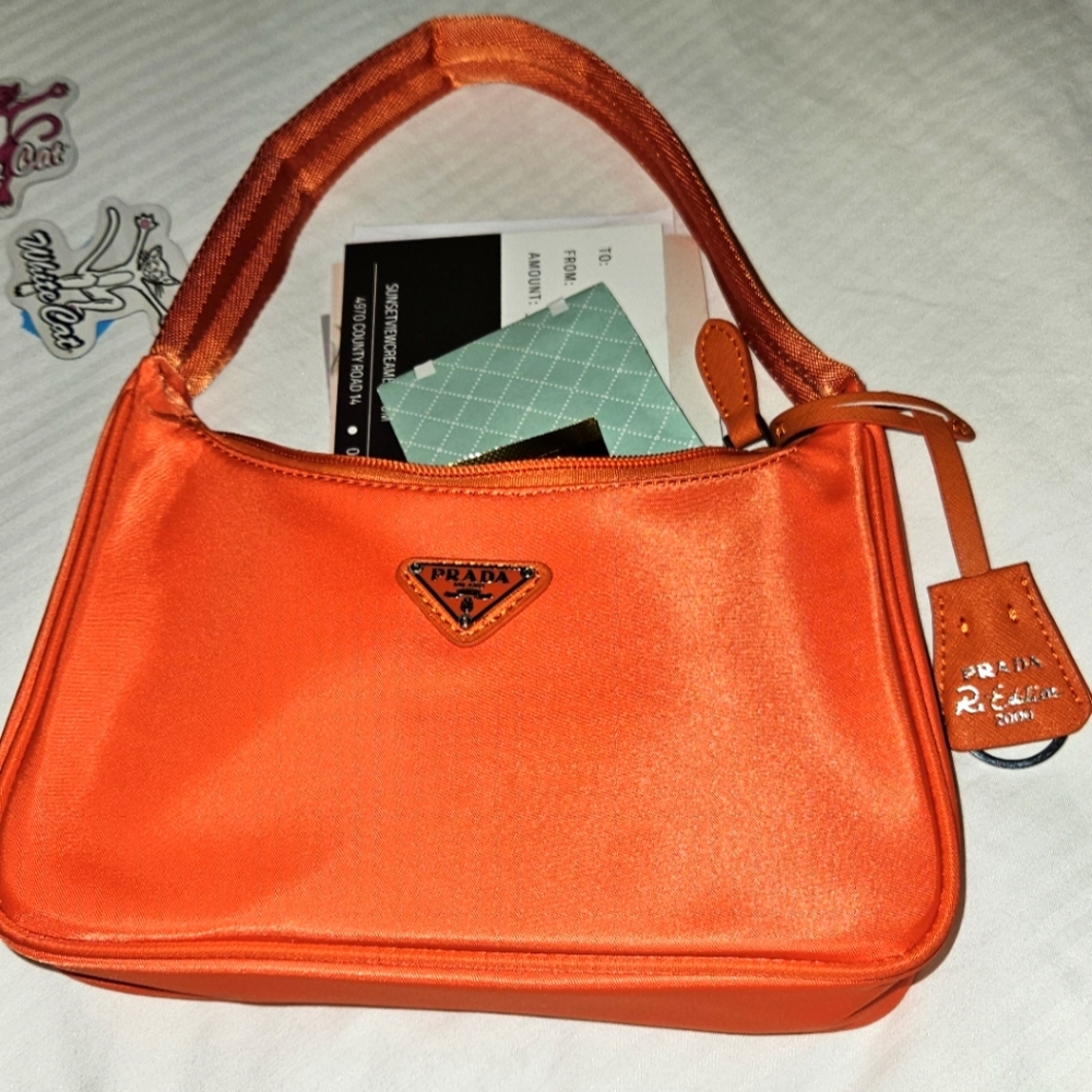 Prada Mini Bag - image 1